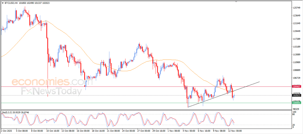 Bitcoin Seeks to Recover Lost Ground — Analysis (13/11/2025) 12