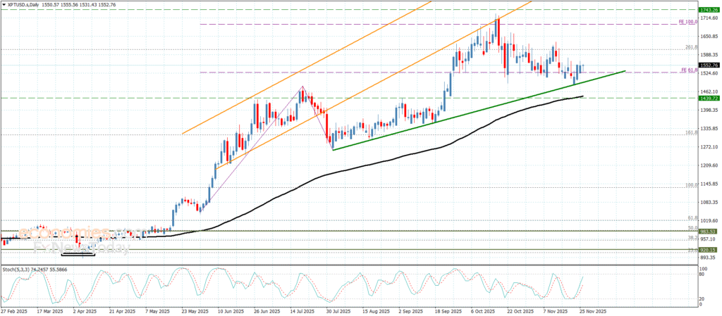 "Platinum receives positive momentum boost – 26-11-2025" 16